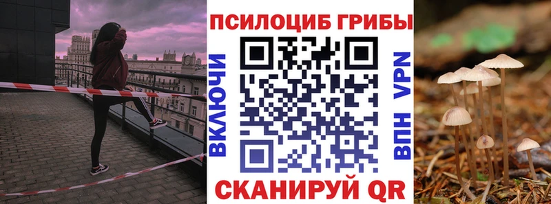Псилоцибиновые грибы MAGIC MUSHROOMS  Купить закладки  Тара 